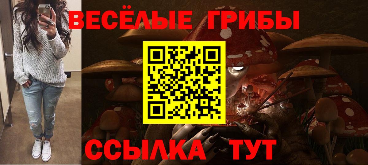 Псилоцибиновые грибы ЛСД  как найти закладки  Димитровград  Псилоцибиновые грибы MAGIC MUSHROOMS  Вход с VPN 